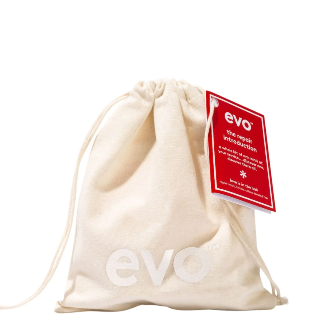 EVO The Repair Introduction rinkinys pažeistiems plaukams