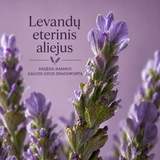 L’Occitane en Provence švelnus subalansuojantis plaukų šampūnas, 300ml