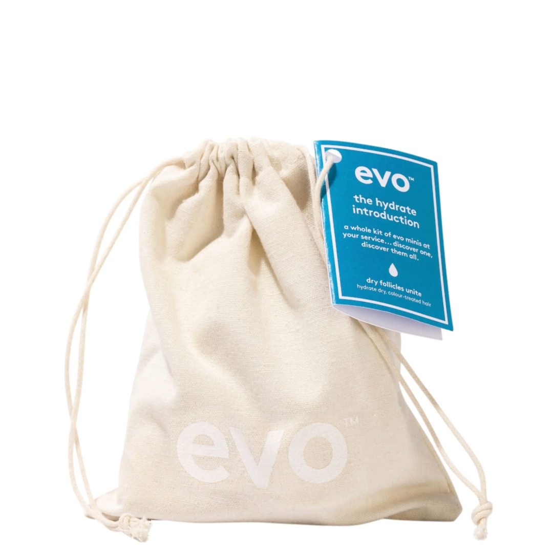EVO The Hydrate Introduction rinkinys sausiems plaukams