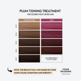 Four Reasons tonuojanti plaukų kaukė PLUM, 200ml